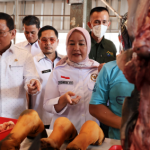 Tim Jejaring Keamanan Pangan  Lampung Lakukan Pengawasan dan Uji Sampel Bahan Pangan di Pasar Way Halim