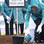 Peringati Hari Kesatuan Gerak PKK Ke-52, TP PKK Lampung Ikuti Gerakan Tanam Cabai Serentak