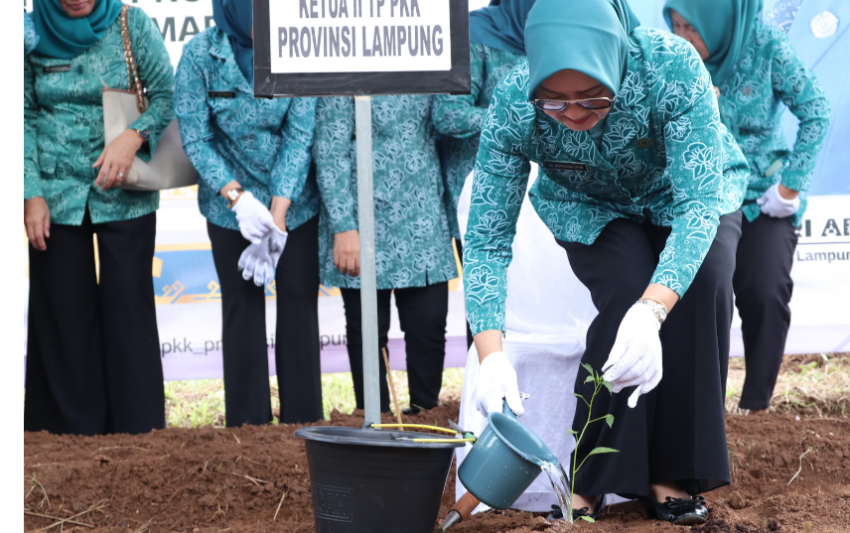 Peringati Hari Kesatuan Gerak PKK Ke-52, TP PKK Lampung Ikuti Gerakan Tanam Cabai Serentak