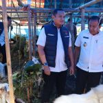Satgas Pangan Polda Lampung Pastikan Hewan Kurban Bebas Penyakit dan Layak Untuk Idul Adha 1445 H.