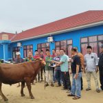 PWI Lampung Timur Potong Hewan Kurban Satu Ekor Sapi