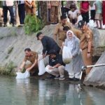 Pemprov Lampung Tebar Benih Ikan di Sejumlah Sungai Pesawaran