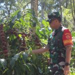 Danrem 043/Gatam Bersama Pangdam II/Sriwijaya Amankan Kunjungan Presiden RI Joko Widodo, Di Kabupaten Lampung Barat Dan Tanggamus