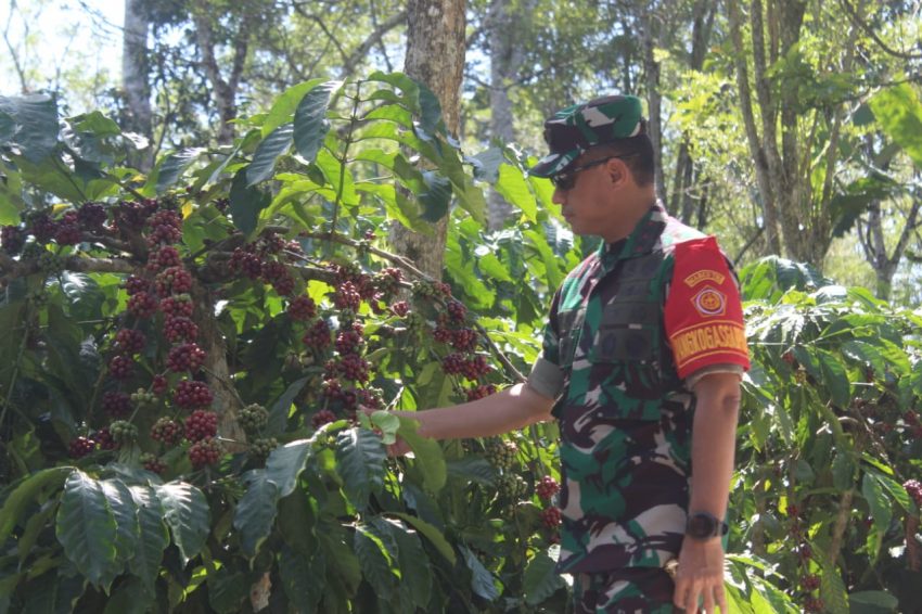 Danrem 043/Gatam Bersama Pangdam II/Sriwijaya Amankan Kunjungan Presiden RI Joko Widodo, Di Kabupaten Lampung Barat Dan Tanggamus