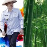 PJ Bupati Marindo Ajak Warga Pringsewu Tanam Bambu