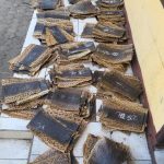 KSKP Bakauheni Bersama Barantin Gagalkan Penyelundupan Ratusan Kulit Ular Piton