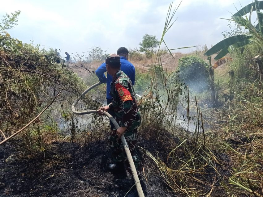Monitoring Kebakaran Lahan, Babinsa dan Warga Bantu Petugas Damkar Padamkan Api di Bukit Klutum Kota Baru