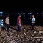 Heboh! Warga Berebut Ratusan Ikan yang Loncat ke Pantai Kota Agung Tanggamus