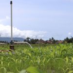 Refleksi Hari Pahlawan, Local Hero Inspiratif! Suparmin berhasil wujudkan ketahanan pangan di Lampung Selatan melalui bantuan PLN Peduli