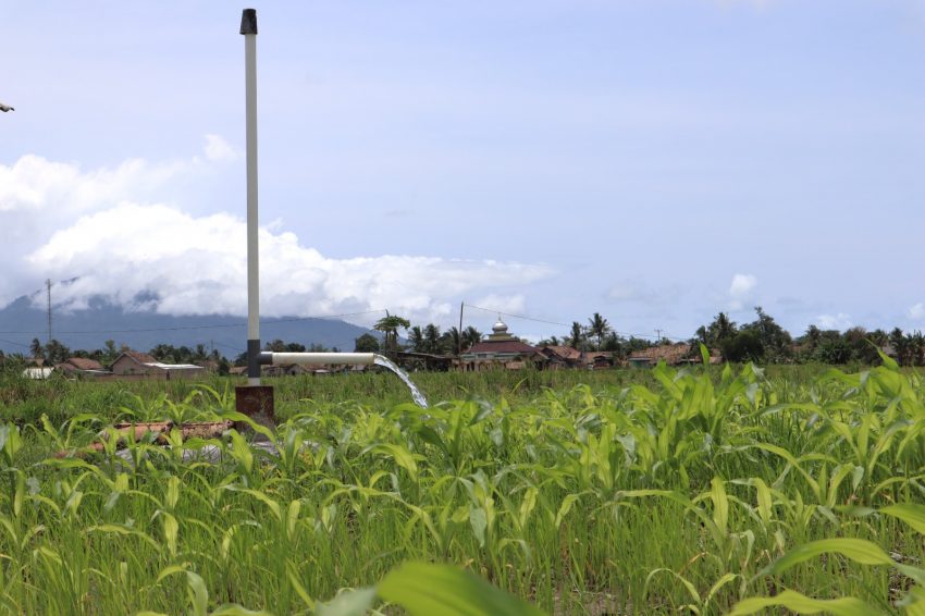 Refleksi Hari Pahlawan, Local Hero Inspiratif! Suparmin berhasil wujudkan ketahanan pangan di Lampung Selatan melalui bantuan PLN Peduli