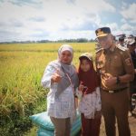 Petani Lampung Sambut Gembira Panen Raya, Pemerintah Pastikan Harga Gabah Menguntungkan
