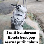 Tersangka Curanmor Di Desa Buko Poso Berhasil Di Tangkap Anggota Reskrim Polsek Way Serdang Bersama Tekab 308 Polres Mesuji