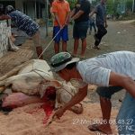PT Sarana Global Quarry Berkurban Bersama Jamaah Masjid Miftahul Huda