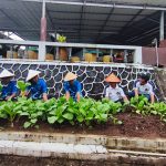 Panen Hasil Pembinaan, Wujudkan Ketahanan Pangan dari Dalam Lapas