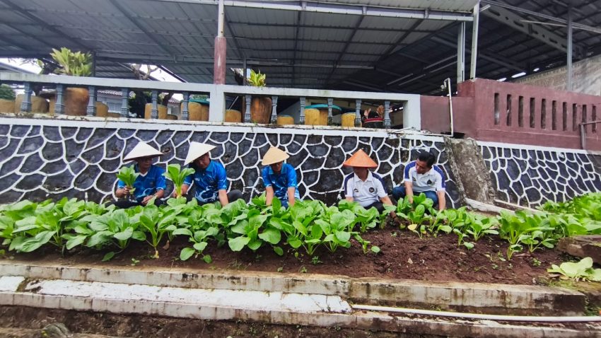 Panen Hasil Pembinaan, Wujudkan Ketahanan Pangan dari Dalam Lapas