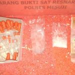 Sorang Pengedar Narkoba berhasil di Tangkap Jajaran Sat Res Narkoba Polres Mesuji