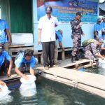 TNI AL Gelar Peletakan Ketahanan Pangan Maritim di di Wilayah Kerja Lanal Lampung