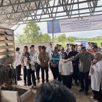 Dampingi Gubernur Lampung Tinjau Produksi Gabah Mesuji dan Tulang Bawang, PLN Siap Dukung Infrastruktur Ketahanan Pangan