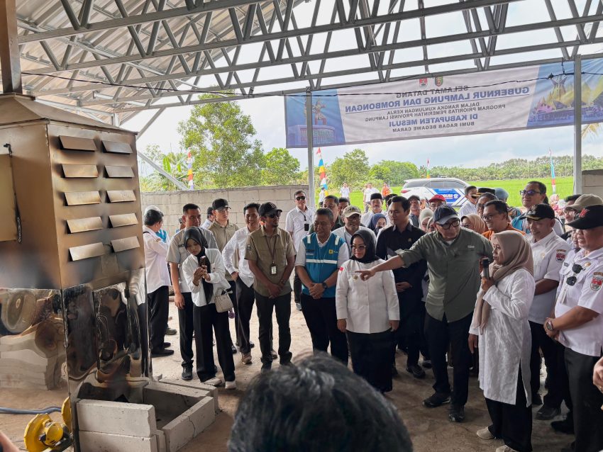 Dampingi Gubernur Lampung Tinjau Produksi Gabah Mesuji dan Tulang Bawang, PLN Siap Dukung Infrastruktur Ketahanan Pangan