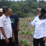 Bupati Ela Serap Aspirasi Petani Tembakau, Pastikan DBHCHT Tepat Sasaran dan Tepat Waktu