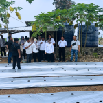 Bupati Ela Tinjau Smart Farming Cabai di Metro Kibang, Langkah Nyata Modernisasi Pertanian Lampung Timur