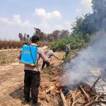 Sinergi Terpadu : Polres Mesuji, Kodim 0426 Tuba, Pemerintah Daerah, Stakeholder Terkait Serta Masyarakat Berhasil Padamkan 51 Titik Api di Area Seluas 241,6 Hektar