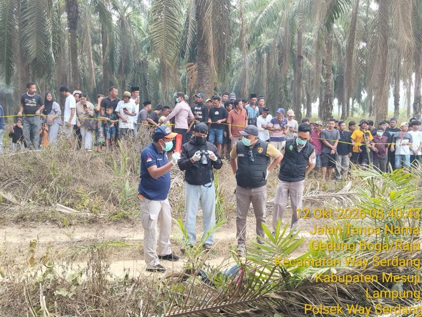 Tim Inavis Polres Mesuji Olah TKP dan Lakukan Identifikasi Penemuan Mayat di Kebun Sawit